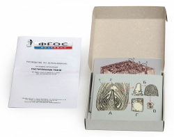 Модель-аппликация "Растительные ткани" (набор из 15 карт) - fgospostavki.ru - Ростов-на-Дону