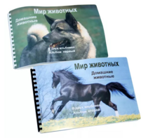 Пособие для слабовидящих - Домашние животные - fgospostavki.ru - Ростов-на-Дону