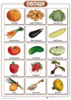 Таблицы "Окружающий мир" (формат А2, ламинированные, 10 таблиц) - fgospostavki.ru - Ростов-на-Дону