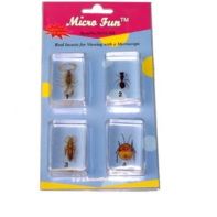 Набор микропрепаратов для стереомикроскопа №14 «Насекомые» - fgospostavki.ru - Ростов-на-Дону