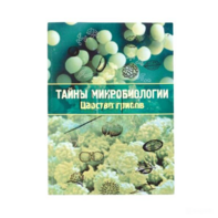 Набор «Тайны микробиологии» (Царство грибов) - fgospostavki.ru - Ростов-на-Дону
