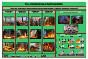 Стенд-планшет электрифицированный «Виды лесных пожаров»  - fgospostavki.ru - Ростов-на-Дону