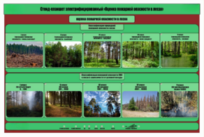 Стенд-планшет электрифицированный «Оценка пожарной опасности в лесах»  - fgospostavki.ru - Ростов-на-Дону