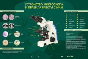 Электрифицированный стенд "Устройство микроскопа и правила работы c ним" - fgospostavki.ru - Ростов-на-Дону