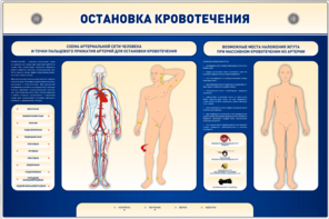 Электрифицированный стенд-тренажер "Остановка кровотечения" - fgospostavki.ru - Ростов-на-Дону
