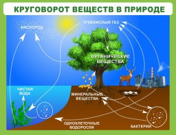 Стенд "Круговорот веществ" - fgospostavki.ru - Ростов-на-Дону