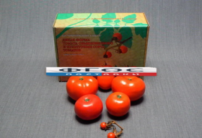 Набор муляжей "Дикая форма и культурные сорта томатов" - fgospostavki.ru - Ростов-на-Дону