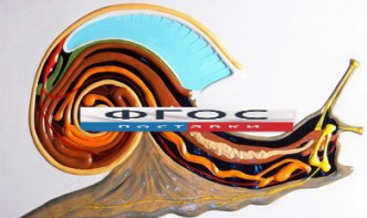 Модель барельефная "Внутреннее строение брюхоногого моллюска" - fgospostavki.ru - Ростов-на-Дону