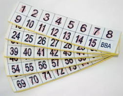 Фишки для игры «Бинго» со шрифтом Брайля - fgospostavki.ru - Ростов-на-Дону