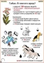 Комплект кодотранспарантов "Ядовитые растения" - fgospostavki.ru - Ростов-на-Дону